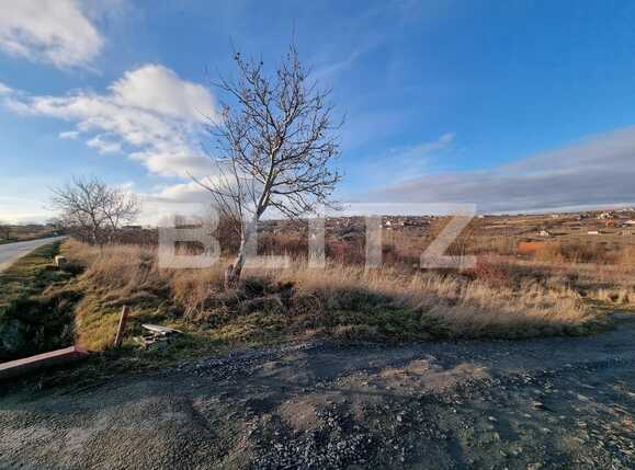 Teren de vânzare Exterior Est - 78436TV | BLITZ Sibiu | Poza3