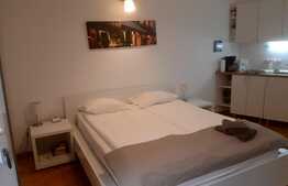 Garsonieră utilată și mobilată, zonă Centrală