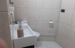 Garsonieră utilată și mobilată, zonă Centrală