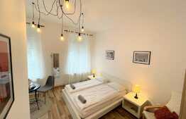 Doua studiouri cu intrari separate, 55 mp in Centru Istoric