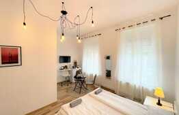 Doua studiouri cu intrari separate, 55 mp in Centru Istoric