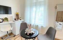 Doua studiouri cu intrari separate, 55 mp in Centru Istoric