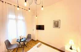 Doua studiouri cu intrari separate, 55 mp in Centru Istoric