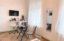 Doua studiouri cu intrari separate, 55 mp in Centru Istoric