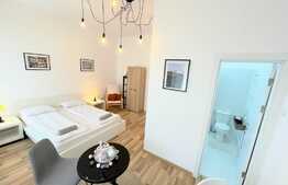 Doua studiouri cu intrari separate, 55 mp in Centru Istoric