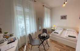 Doua studiouri cu intrari separate, 55 mp in Centru Istoric