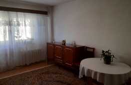 Apartament de 3 camere decomandat, zona Piata Vasile Aron