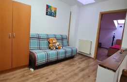 Apartament cu 2 camere de vanzare + spatiu birou, zona Terezian