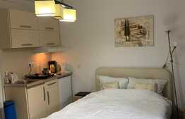 Doua imobile de 67 mp, zona ultracentrala, pretabil regim hotelier!