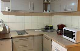 Doua imobile de 67 mp, zona ultracentrala, pretabil regim hotelier!