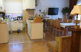 Casă spațioasă, 230 mp utili, în zonă linistită, Lazaret