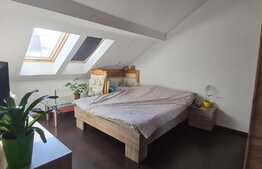 Apartament 2 camere, 47 mp, zona linistita, Turnisor