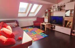 Apartament 2 camere, 47 mp, zona linistita, Turnisor