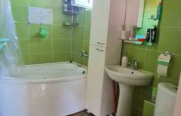 Apartament 2 camere, 47 mp, zona linistita, Turnisor