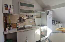 Apartament 2 camere, 47 mp, zona linistita, Turnisor