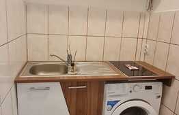 Garsoniera de 23 mp, mobilata, zona Broscarie