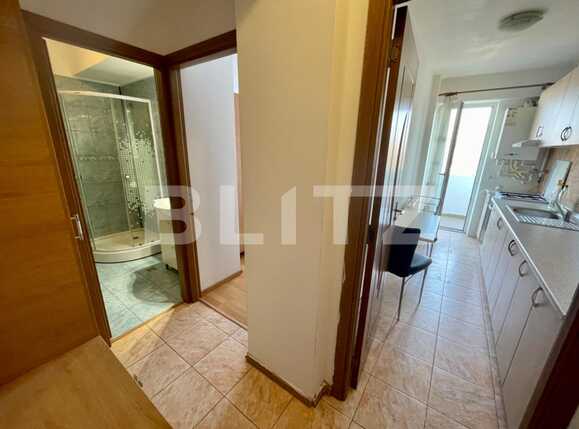 Garsonieră de închiriat Șelimbăr - 80335AI | BLITZ Sibiu | Poza4