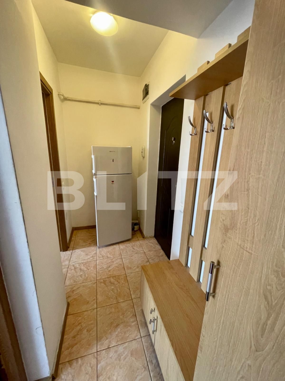 Garsonieră de închiriat Șelimbăr - 80335AI | BLITZ Sibiu | Poza3