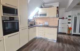 Apartament 3 camere 110 mp pe doua niveluri, loc de parcare, zona linistita Calea Poplacii