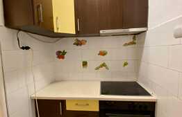 Garsoniera perfecta pentru investitie, zona Trei Stejari