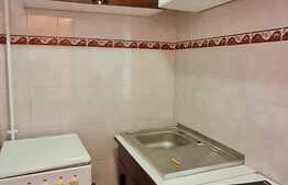 Garsoniera 26 mp , zona Terezian