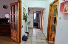 Apartament 3 camere 100 mp, zona linistita, cartier Terezian