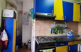 Apartament 3 camere 100 mp, zona linistita, cartier Terezian