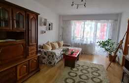 Apartament 3 camere 100 mp, zona linistita, cartier Terezian