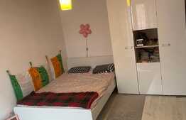 Duplex de 140 mp utili, garaj, zona Tineretului