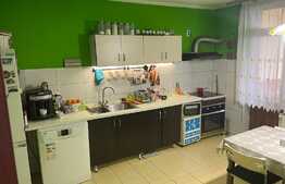 Duplex de 140 mp utili, garaj, zona Tineretului