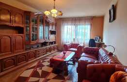 Apartament mobilat de 2 camere, 60 mp, Central