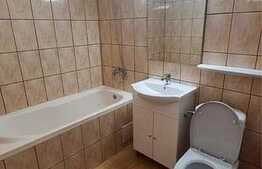 Garsonieră recent renovata, 32 mp utili, Lazaret