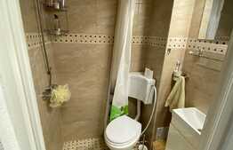 Garsonieră decomandată, 21 mp, zona Vasile Aaron