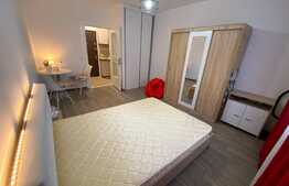 Garsonieră decomandată, 21 mp, zona Vasile Aaron