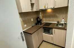 Garsonieră decomandată, 21 mp, zona Vasile Aaron