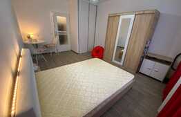 Garsonieră decomandată, 21 mp, zona Vasile Aaron