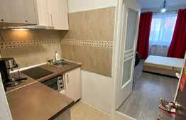 Garsonieră decomandată, 21 mp, zona Vasile Aaron