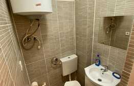 Garsonieră 21 mp utili, renovată, zona Vasile Aaron