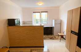 Garsonieră 21 mp utili, renovată, zona Vasile Aaron
