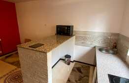 Garsonieră 21 mp utili, renovată, zona Vasile Aaron