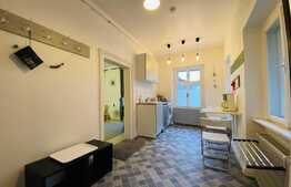 Garsoniera de 43 mp, imobil tip casa, zona Ultracentrala