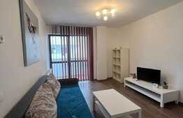 Apartament 2 camere, mobilat si utilat, zona Doamna Stanca