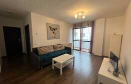 Apartament 2 camere, mobilat si utilat, zona Doamna Stanca