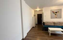 Apartament 2 camere, mobilat si utilat, zona Doamna Stanca