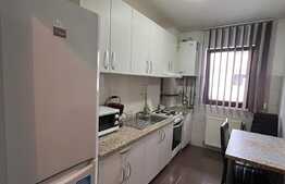 Apartament 2 camere, mobilat si utilat, zona Doamna Stanca