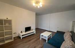 Apartament 2 camere, mobilat si utilat, zona Doamna Stanca