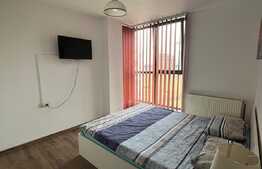 Apartament 2 camere, mobilat si utilat, zona Doamna Stanca