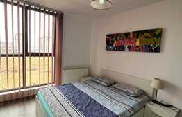 Apartament 2 camere, mobilat si utilat, zona Doamna Stanca