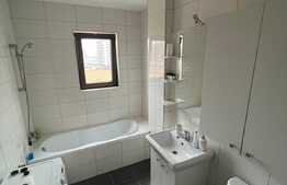 Apartament 2 camere, mobilat si utilat, zona Doamna Stanca