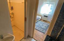 Garsonieră 14 mp, orientare sudica, Lazaret